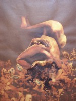 /album/galleria-foto-galleria-fotografica1/a1-010-jpg/